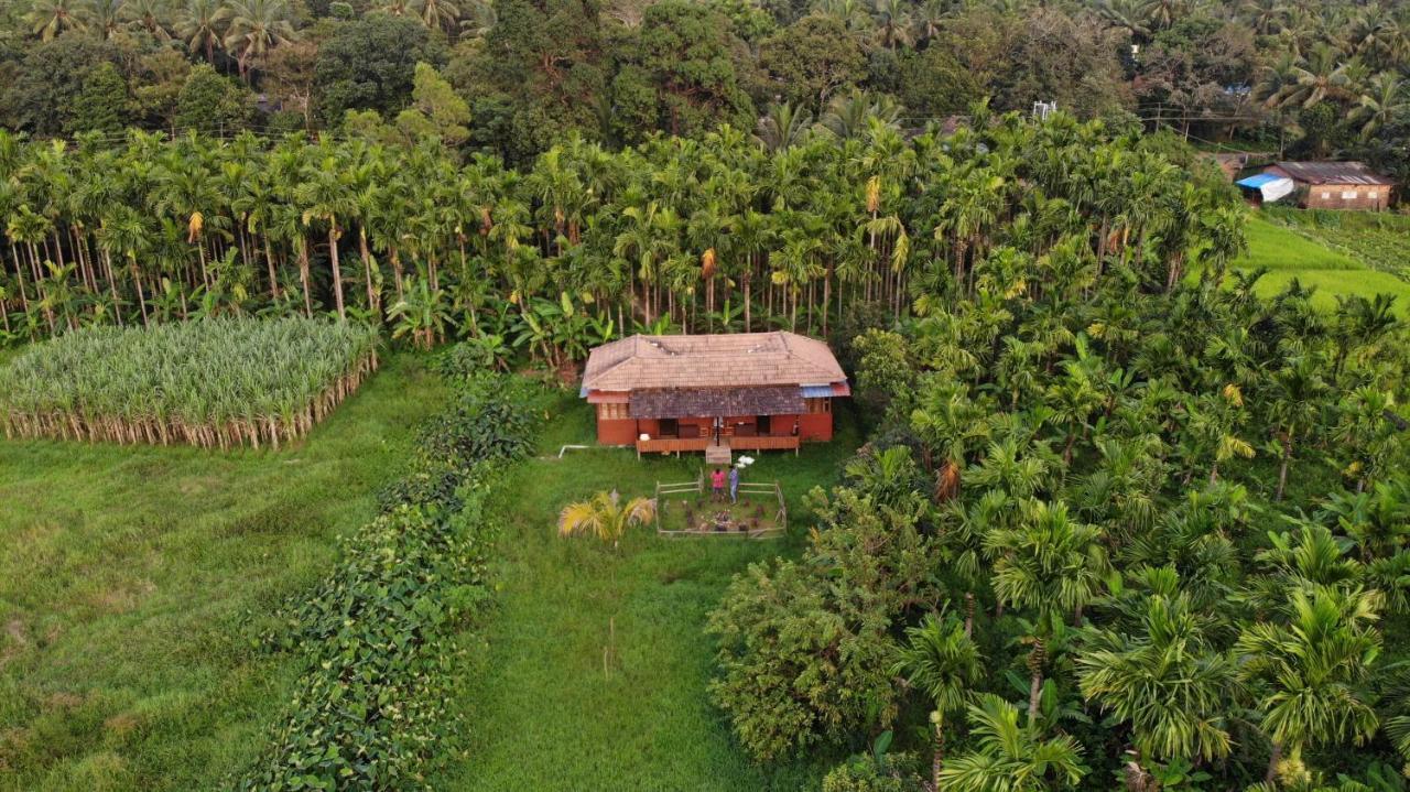 Ibbani Homestay, Siddapur Buitenkant foto