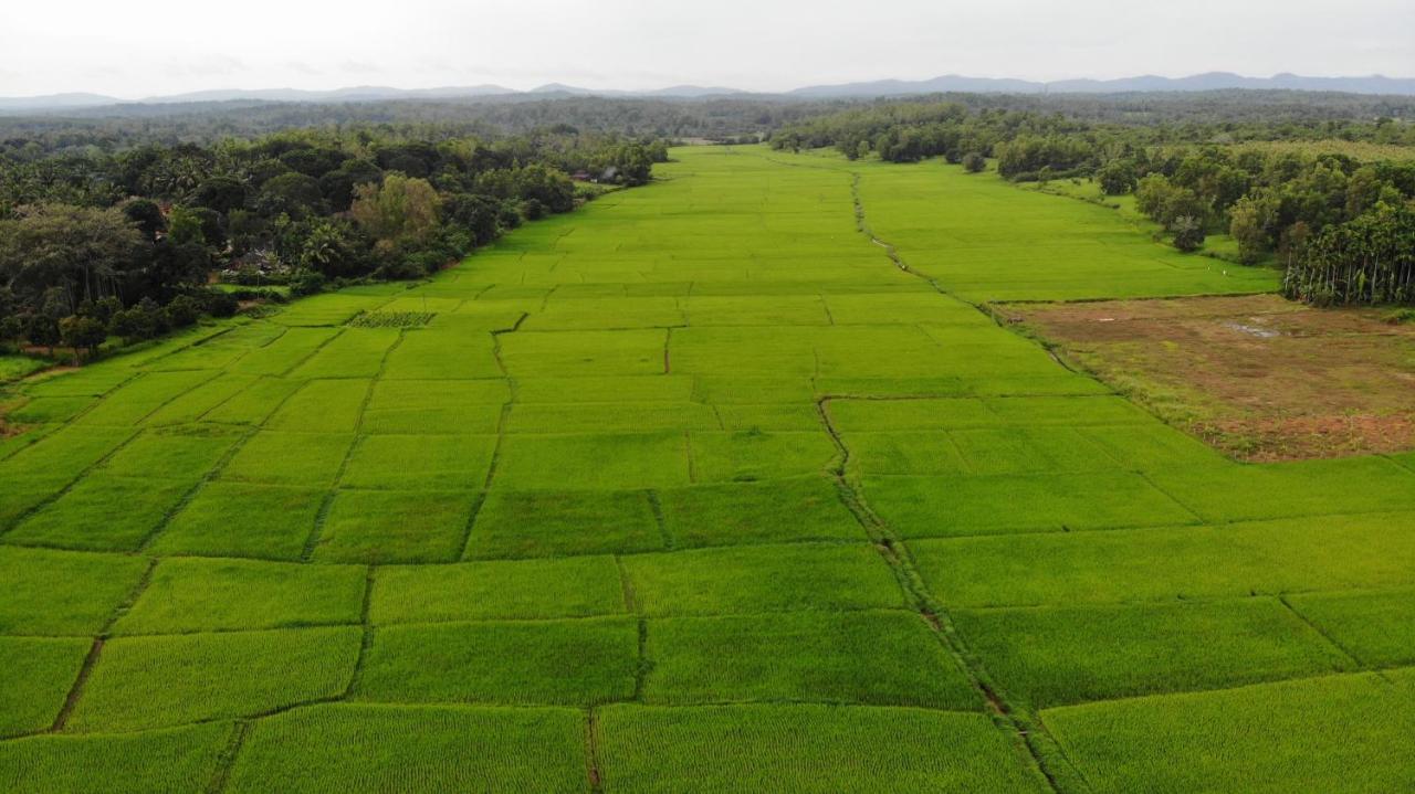 Ibbani Homestay, Siddapur Buitenkant foto