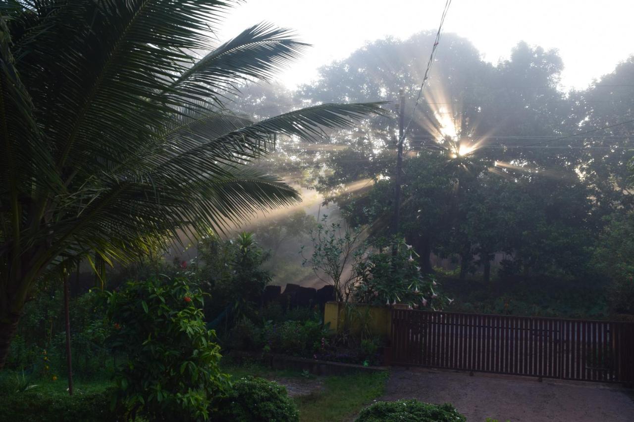 Ibbani Homestay, Siddapur Buitenkant foto