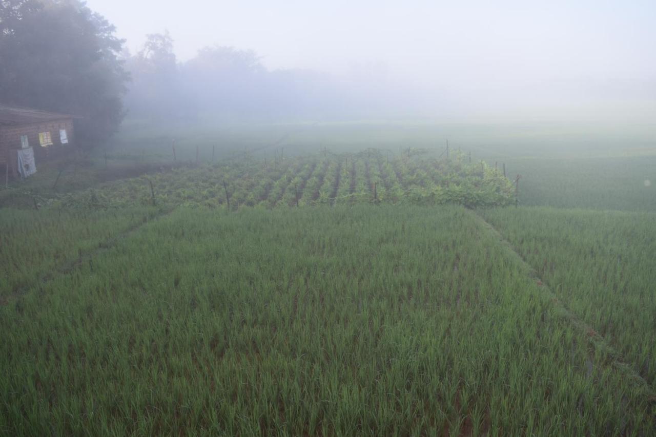 Ibbani Homestay, Siddapur Buitenkant foto