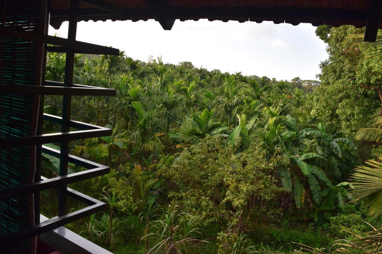 Ibbani Homestay, Siddapur Buitenkant foto