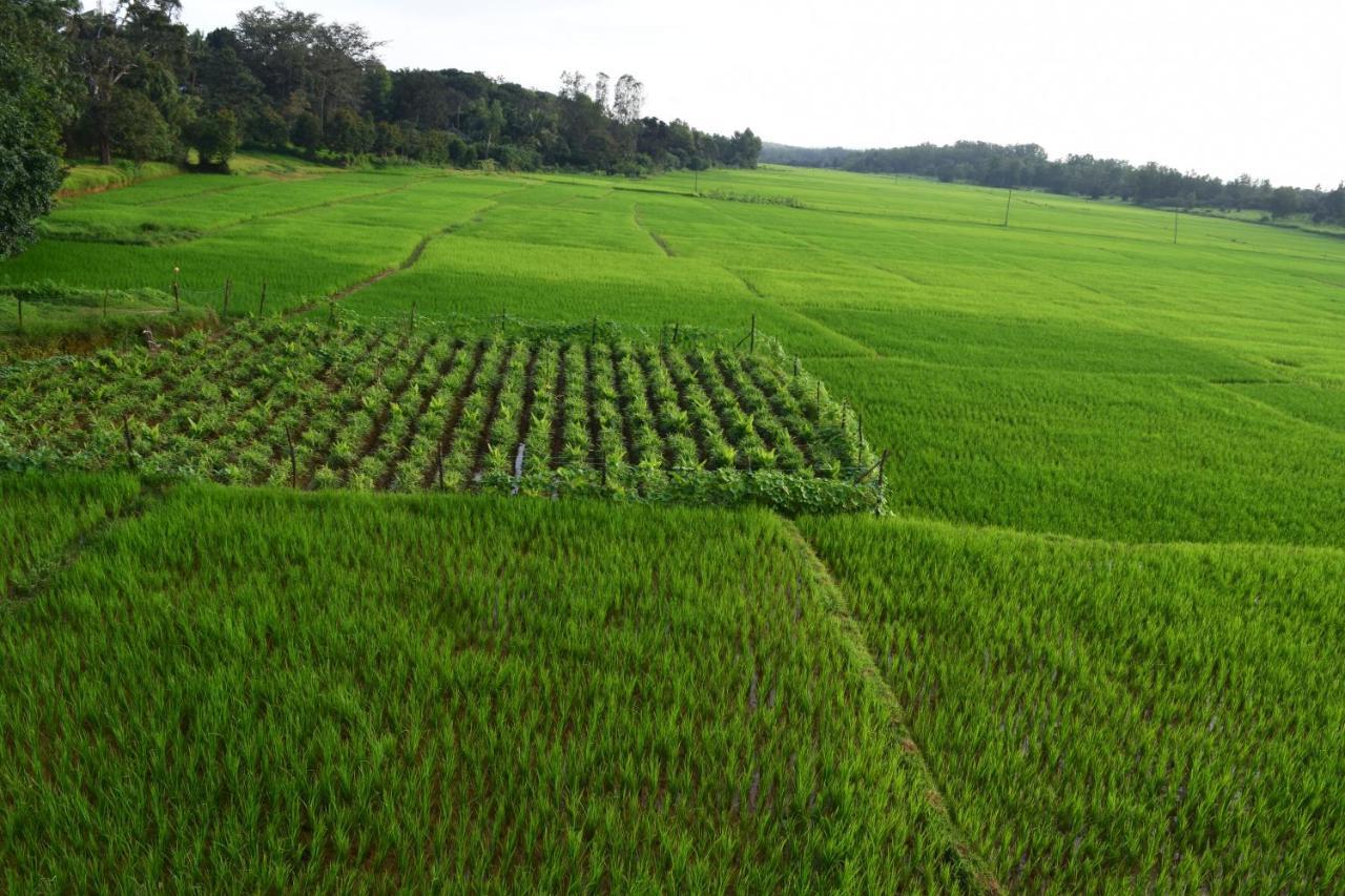 Ibbani Homestay, Siddapur Buitenkant foto