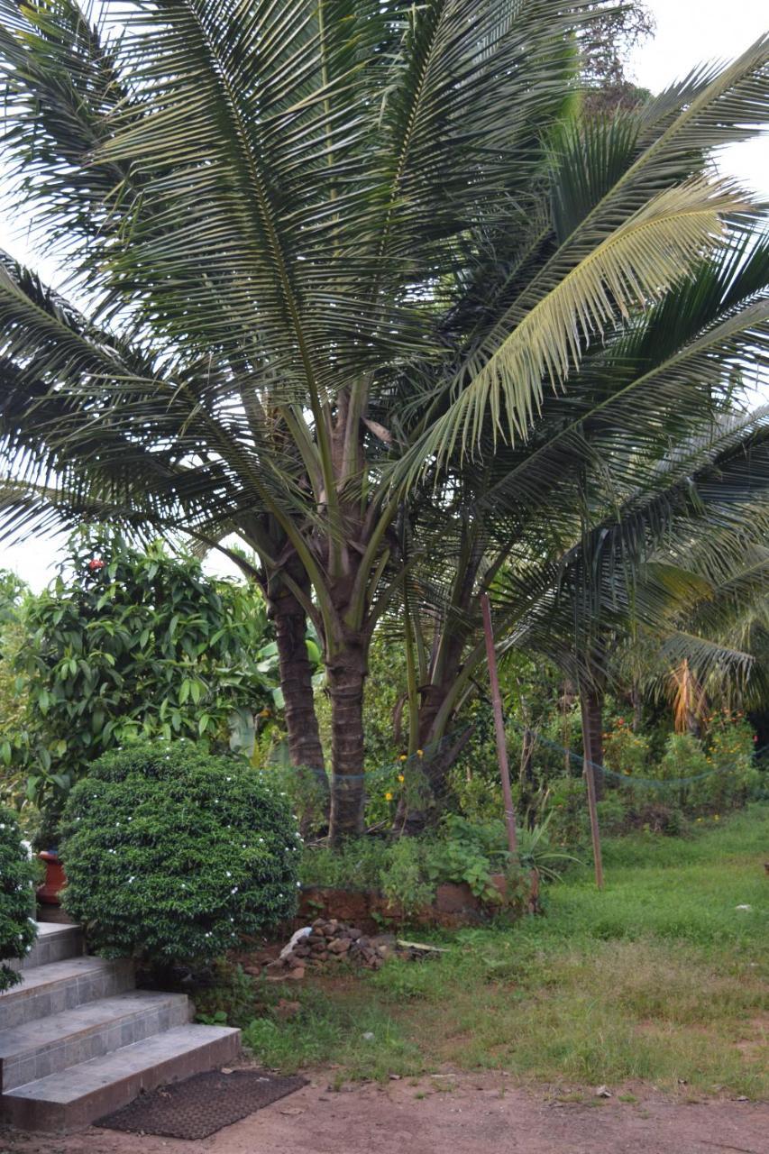 Ibbani Homestay, Siddapur Buitenkant foto