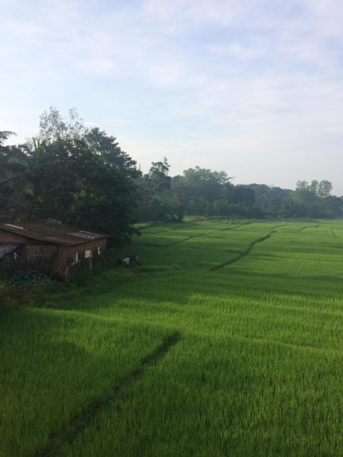 Ibbani Homestay, Siddapur Buitenkant foto