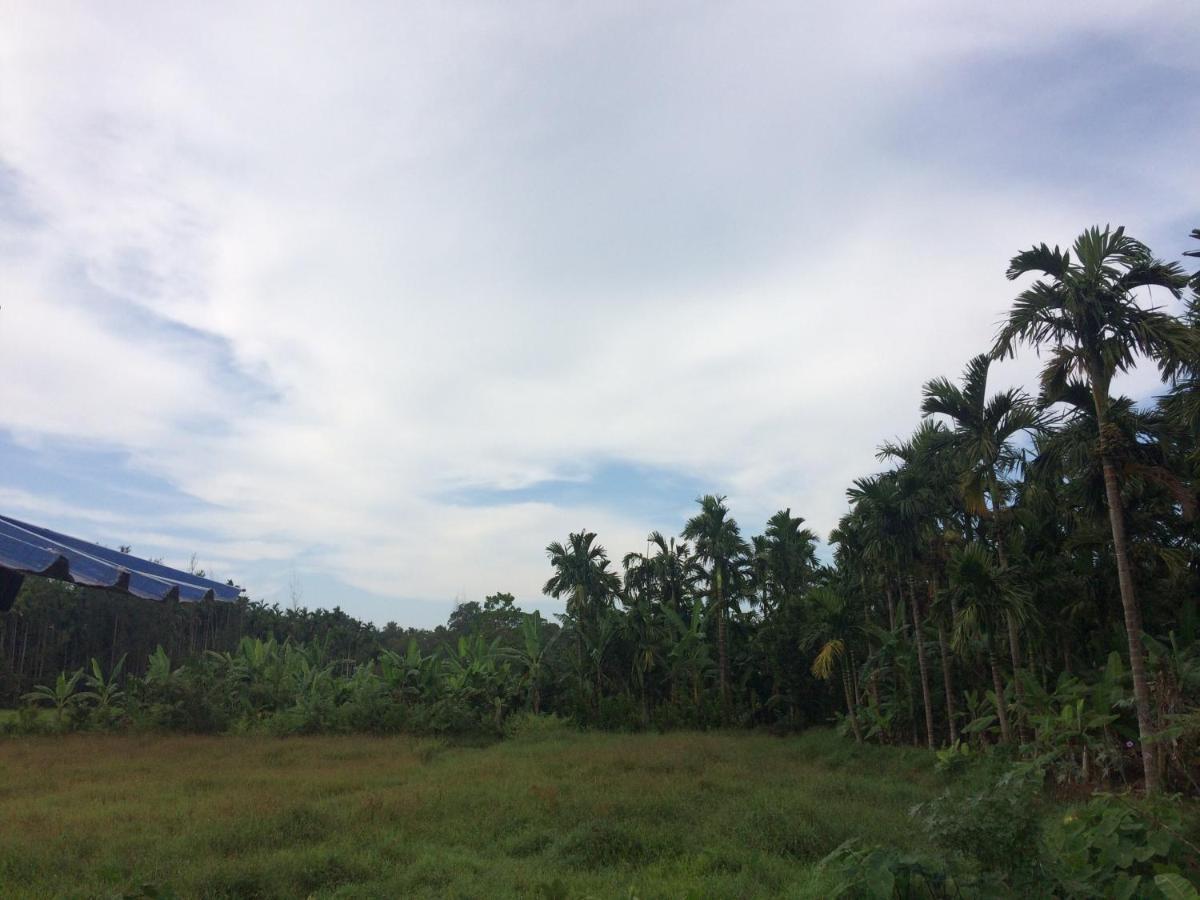 Ibbani Homestay, Siddapur Buitenkant foto